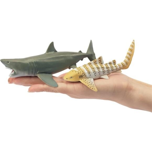 Toymany 6PC Realistic Shark Figurines Set - 5-6" Ocean Animals Bath Toys, Cake - Picture 4 of 7